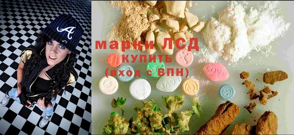 шишки Володарск