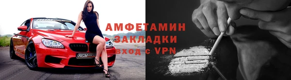шишки Володарск