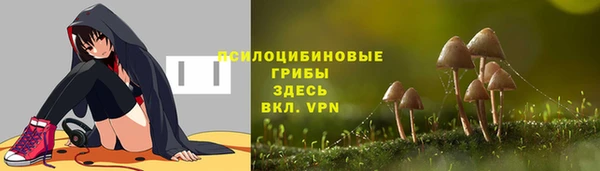 ГАЛЛЮЦИНОГЕННЫЕ ГРИБЫ Верея