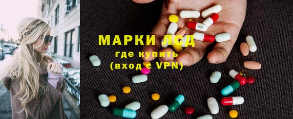 ГАЛЛЮЦИНОГЕННЫЕ ГРИБЫ Верея