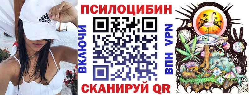 Купить закладки  Искитим  Галлюциногенные грибы Magic Shrooms 
